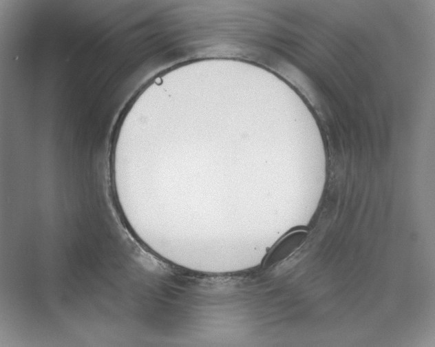 X0000075401000200609251013