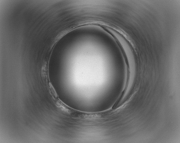 X0000075401001200609251013