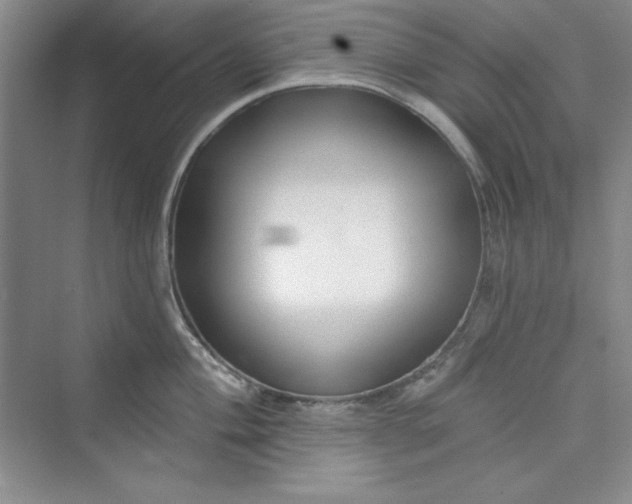 X0000075401004200609251013