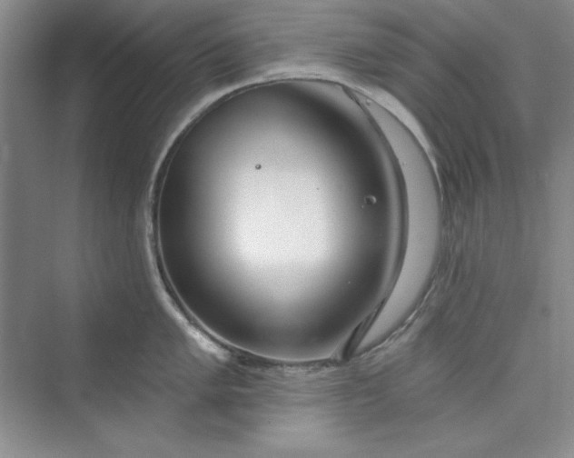 X0000075401005200609251013