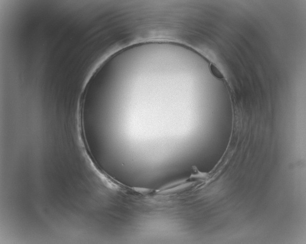 X0000075401006200609251013