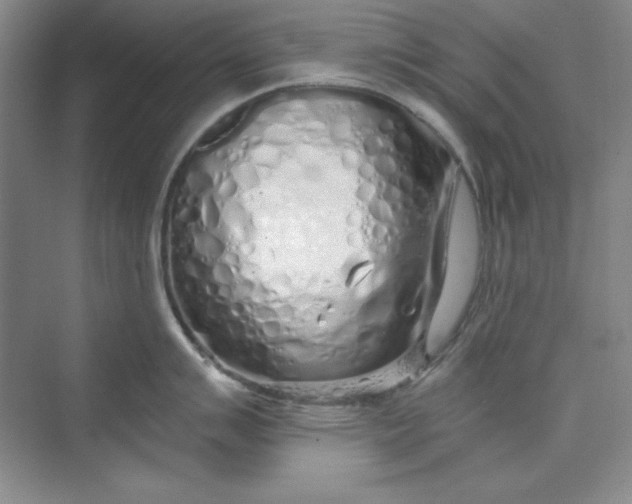 X0000075401007200609251013