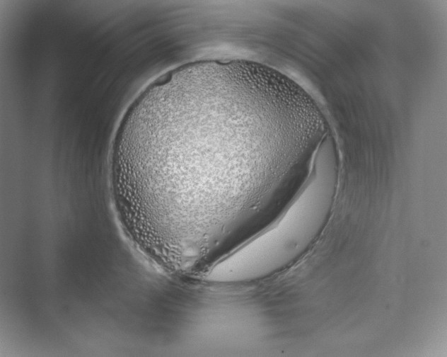 X0000075401008200609251013