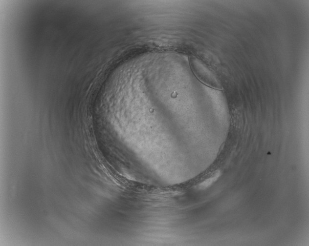 X0000075401009200609251012