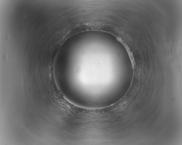 X0000075401010200609251012