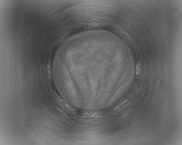 X0000075401011200609251013