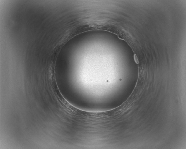 X0000075401012200609251013