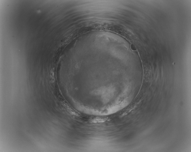 X0000075401013200609251013