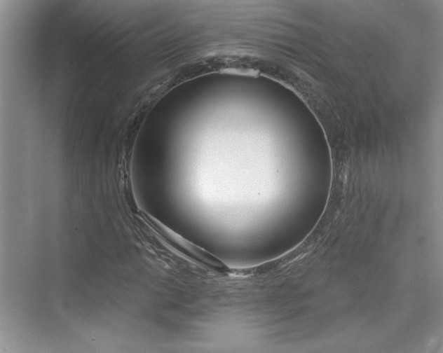 X0000075401014200609251013