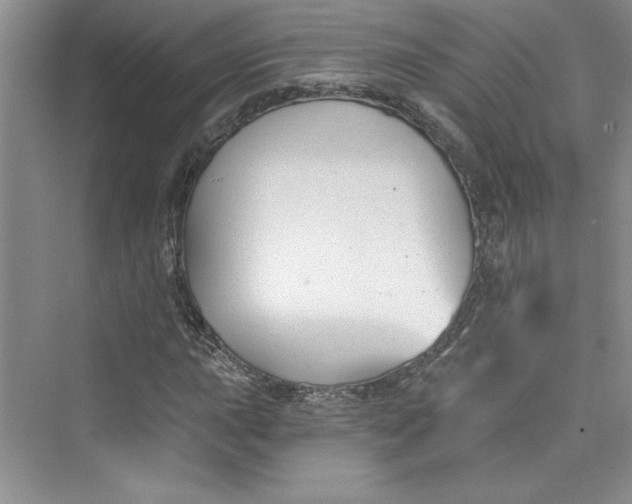 X0000075401015200609251013