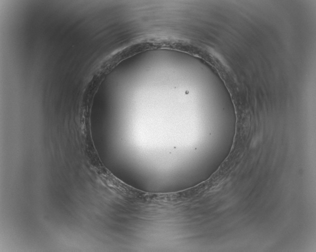 X0000075401016200609251013