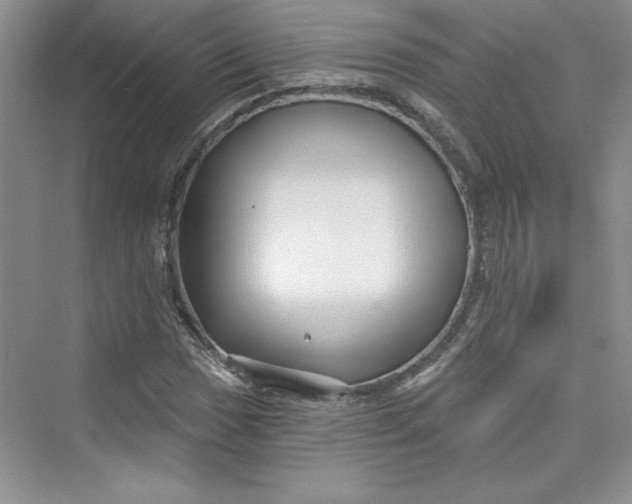 X0000075401017200609251013