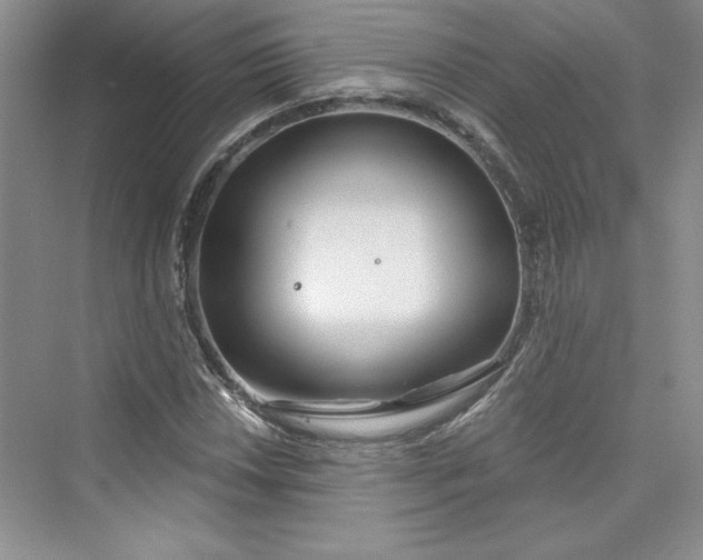 X0000075401018200609251013