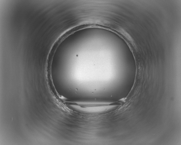 X0000075401020200609251013