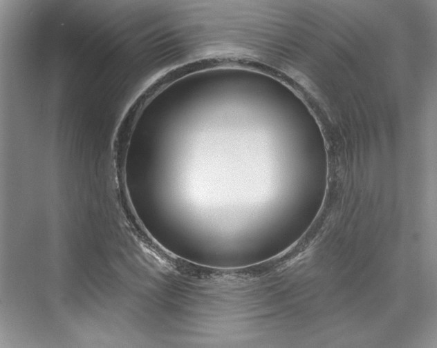 X0000075401022200609251013