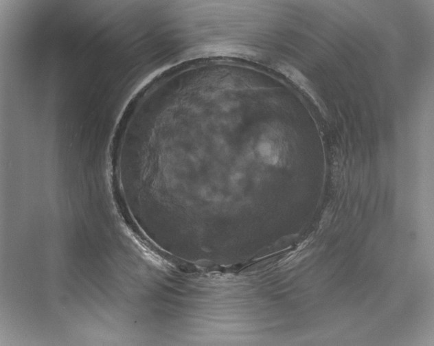 X0000075401024200609251013