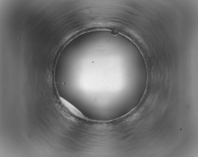 X0000075401025200609251013