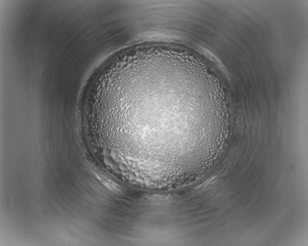 X0000075401027200609251013