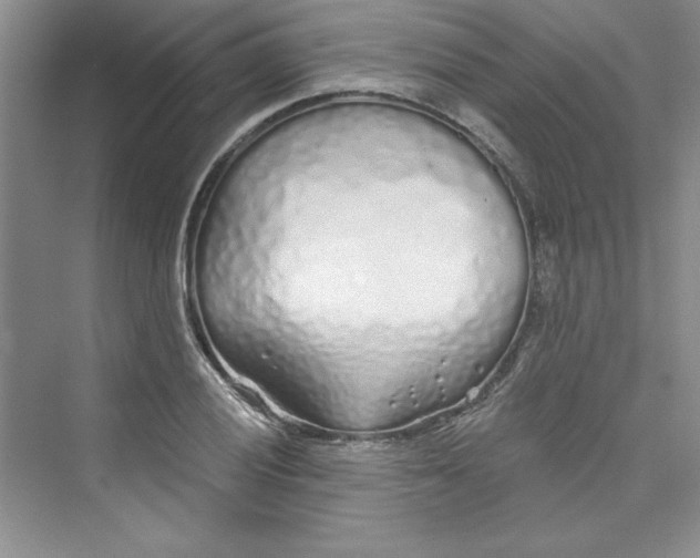 X0000075401028200609251013