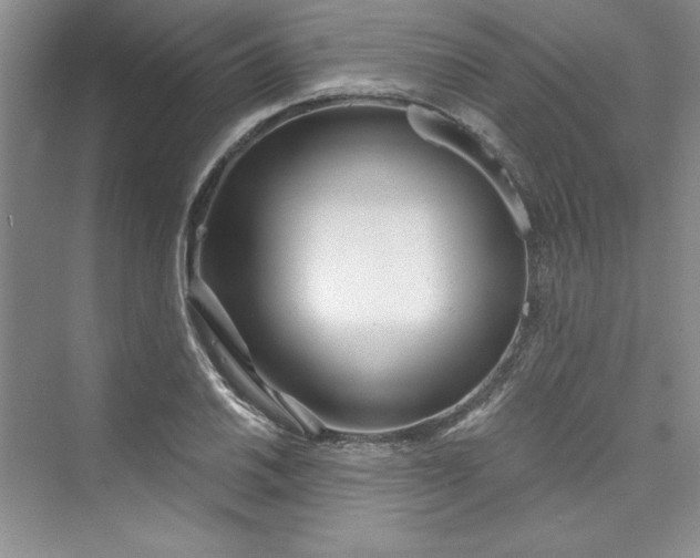 X0000075401030200609251013