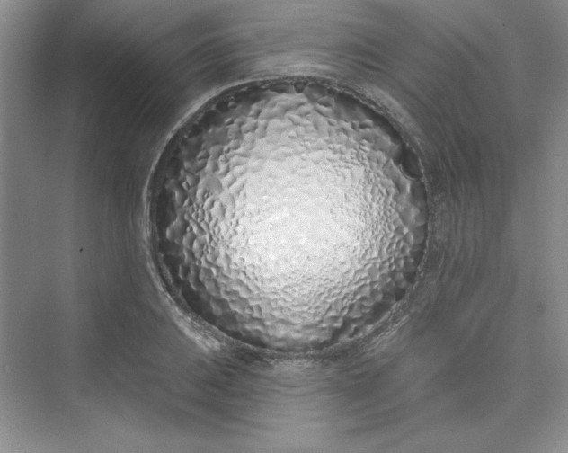 X0000075401031200609251013