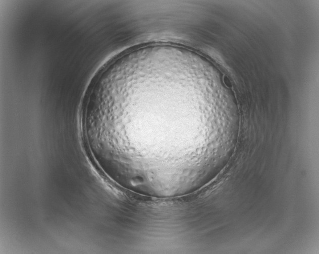 X0000075401032200609251013