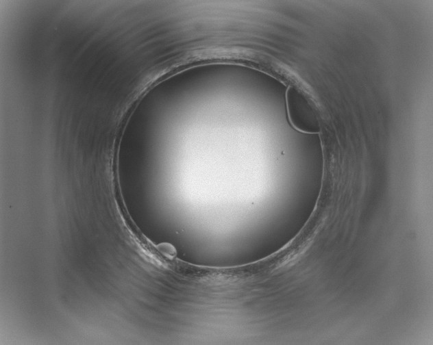 X0000075401033200609251013