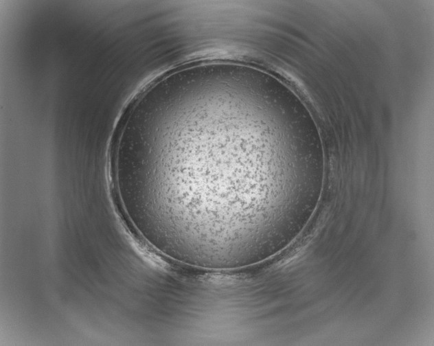 X0000075401034200609251013