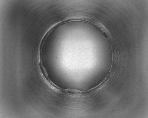 X0000075401036200609251013