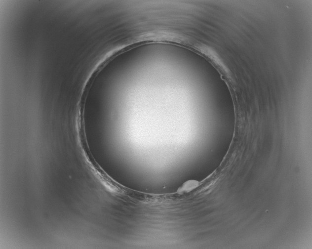 X0000075401040200609251013