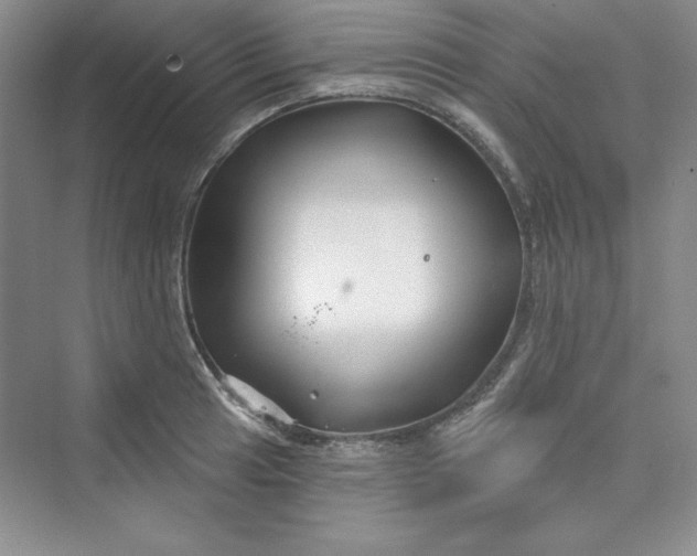 X0000075401041200609251013