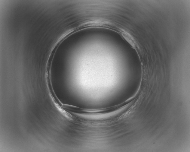 X0000075401042200609251013