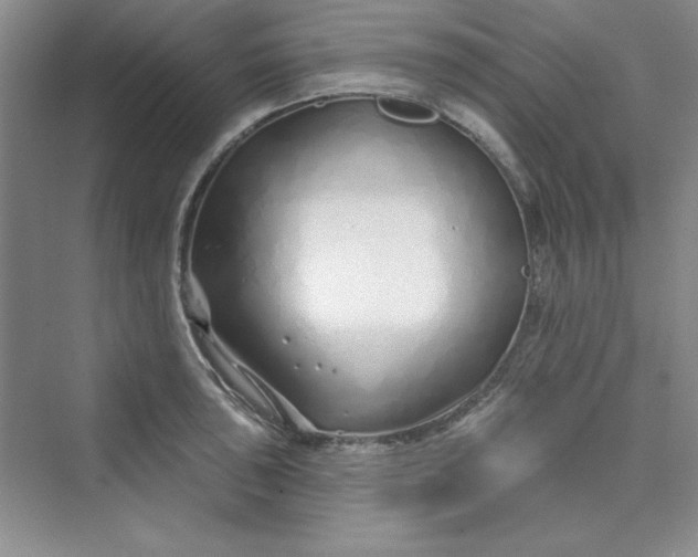 X0000075401043200609251013