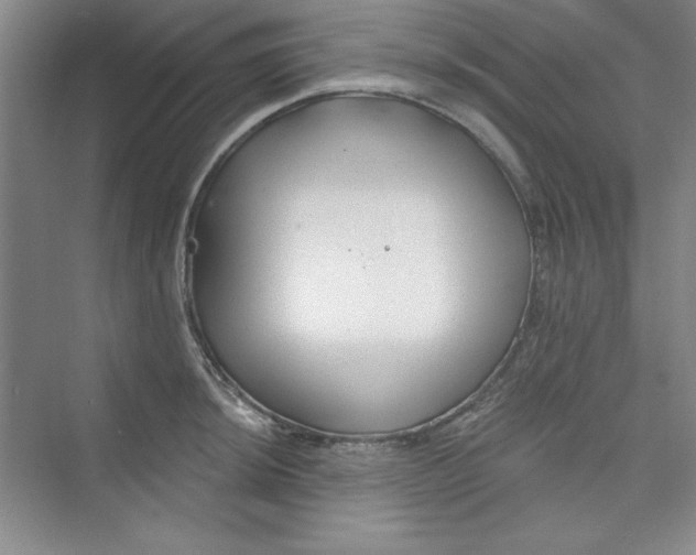 X0000075401044200609251013