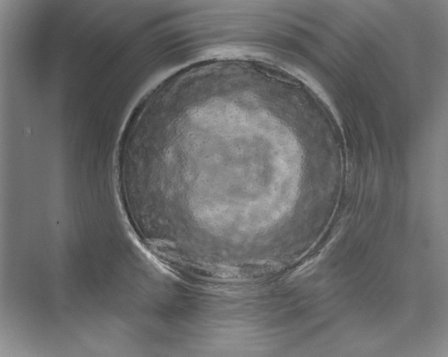 X0000075401045200609251013