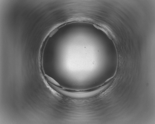 X0000075401046200609251013