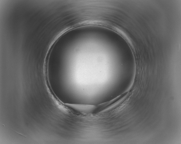 X0000075401050200609251013