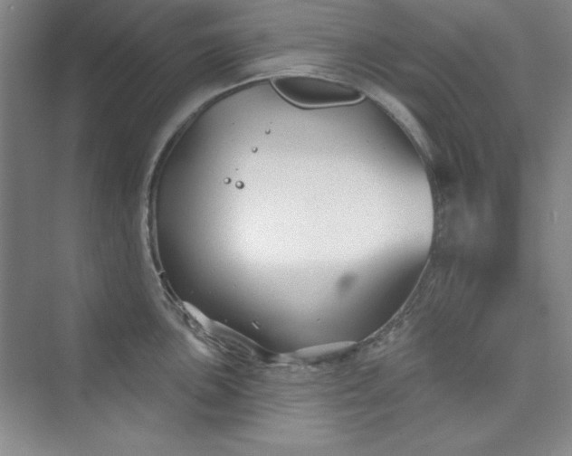 X0000075401051200609251013