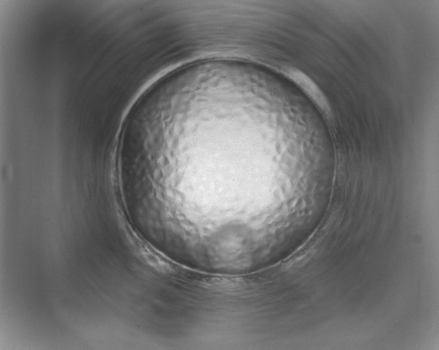 X0000075401052200609251013