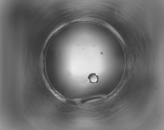 X0000075401053200609251013