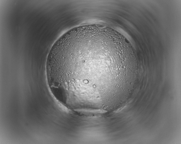 X0000075401055200609251013