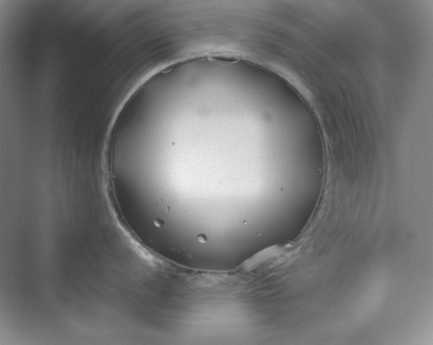 X0000075401056200609251013