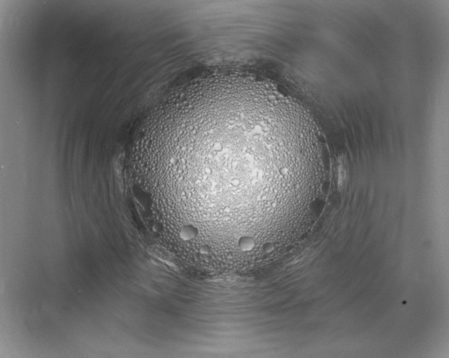 X0000075401059200609251012