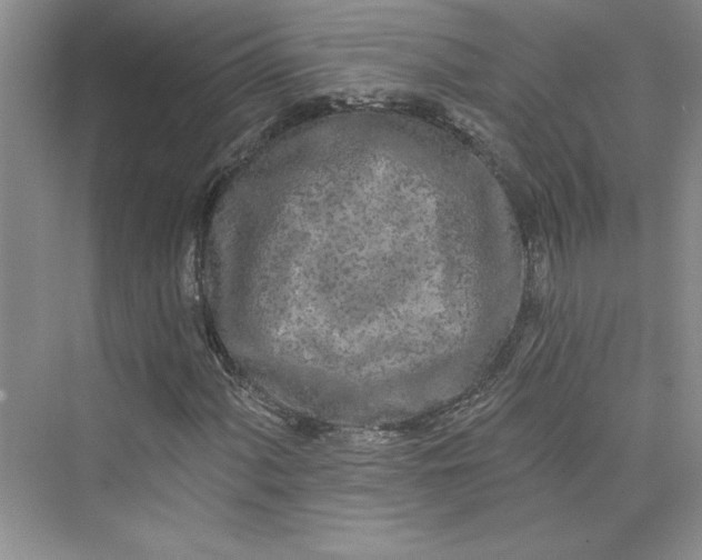 X0000075401060200609251012