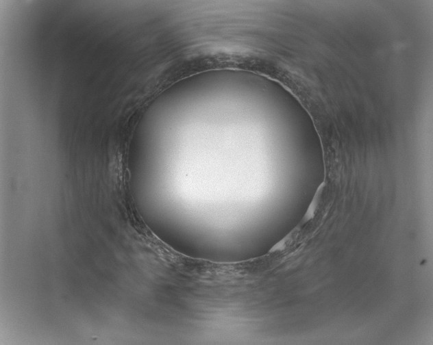 X0000075401061200609251012