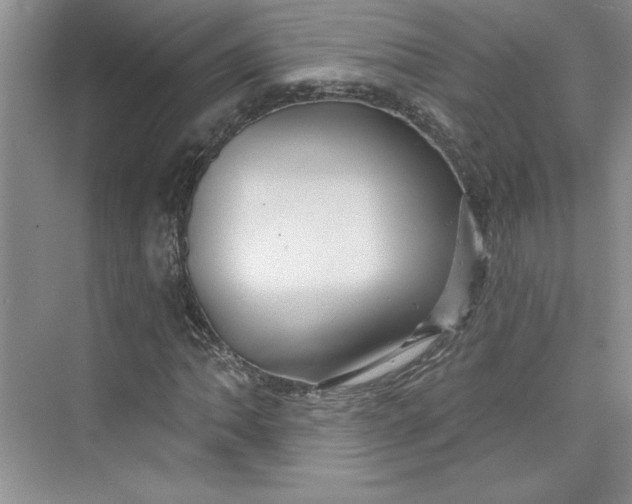 X0000075401062200609251012