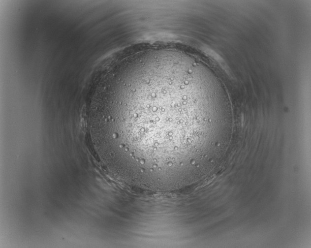 X0000075401063200609251012