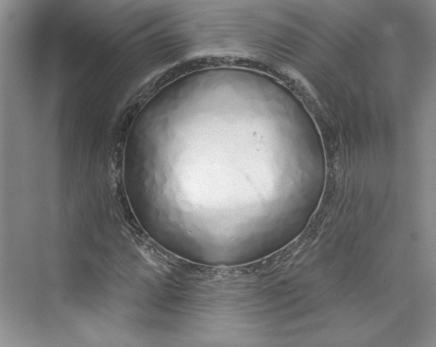 X0000075401064200609251012