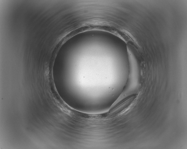 X0000075401065200609251012