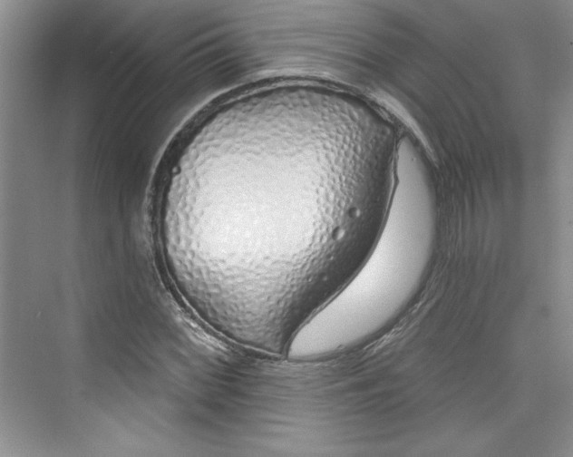 X0000075401068200609251012